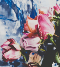 V072553_Gallery.webp