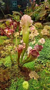 IMG20230408132812.webp