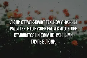 C21E1784-A302-4889-8CC9-2344BB61D56D.webp