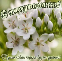 3B08AAE8-E32B-4131-9927-66BE9E0DEBBF.webp