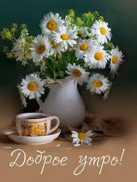 9f98ba4bf80283b9bf5e4839c9203e73.webp