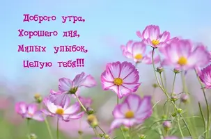 photowords_ru_23051.webp