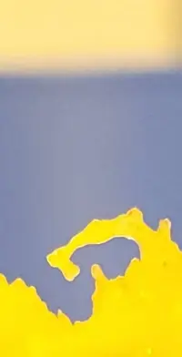Screenshot_20230516-001150_Gallery.webp