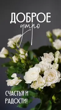 42fd7bf9f5f635aa574d0e6fb08937bb.webp
