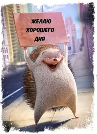 fc44fe360c4e9cf7dbc09c05f51427aa.webp