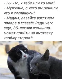 IMG_20230531_203010_790.webp