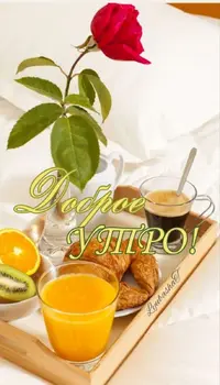 Screenshot_20230531_150849_Telegram.webp