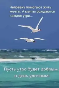 IMG-20230531-WA0003.webp