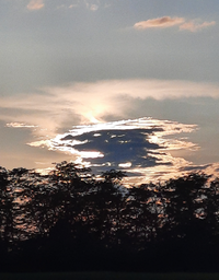 5003_Gallery.webp