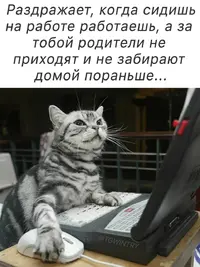 IMG_20230529_131758_633.webp