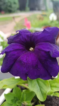 IMG_20230602_063624_814.webp