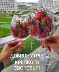 Screenshot_20230603_105802_Telegram.webp