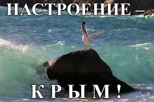 1833959517_huge.webp