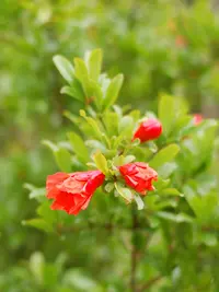IMG_20230604_084240.webp