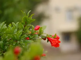 IMG_20230604_084325_copy_1280x960.webp