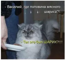 Screenshot_20230604-101957_Chrome.webp