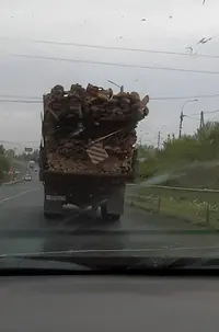 VideoCapture_20230604-191725.webp