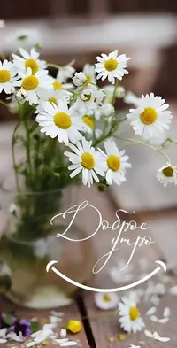 27d8b47fd696c505a6df008a7f9beb4c.webp