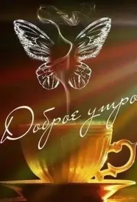 702BB775-F0AC-4C36-A22F-B607C17BA4FC.webp
