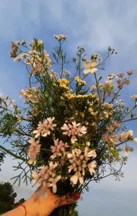 000342_Gallery.webp