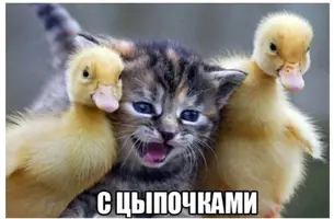 Screenshot_20230604-102230_Chrome.webp