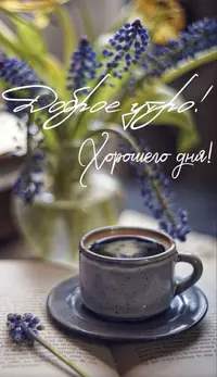 37811f56f6620cd57a9c9698ddd37911.webp