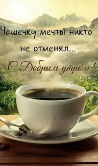 Screenshot_20230606_090427_Telegram.webp