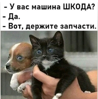 0777777.webp