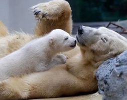 02534_Gallery.webp