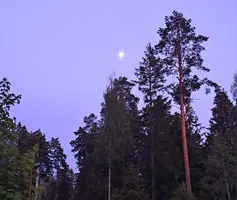 IMG-20230531-WA0006.webp