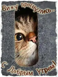 338f291965b098a7bd3eb0d2d9604b9d.webp