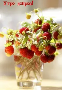 A41230D7-8B09-45EB-A849-7DBF7D901092.webp