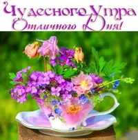 i.webp