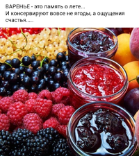 80827.webp