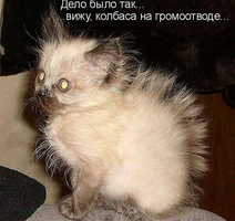 1686067959150388208.webp