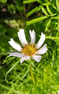 84455_Gallery.webp