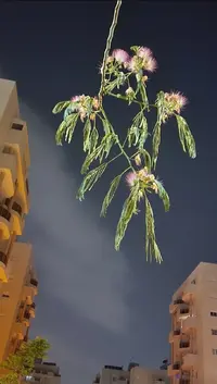 Screenshot_20230607-152806_Gallery.webp