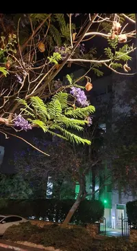 Screenshot_20230607-152810_Gallery.webp