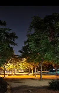 Screenshot_20230607-152826_Gallery.webp