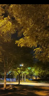 Screenshot_20230607-152836_Gallery.webp