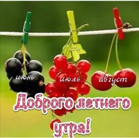 leto-10.webp