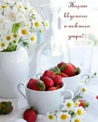 rupix_ru_7246.webp