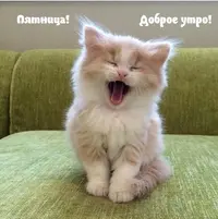 F8938290-2186-4372-9344-66ED15D2039C.webp