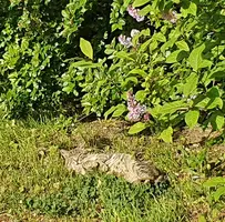 20230608_075228.webp