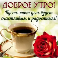 222.webp