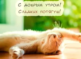 Screenshot_20230611-063233_Facebook.webp
