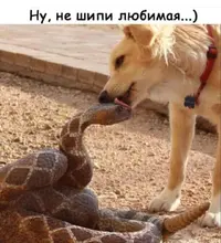 Screenshot_20230611-063301_Facebook.webp