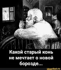 06c442ad77c1e8cf4e32dee37b63bb12.webp