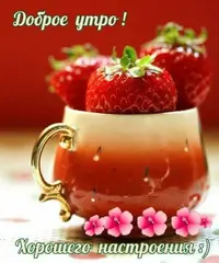 ce6ecdaf96ef9d2dc8ef3332af0ffa9c.webp
