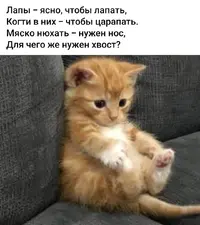 Screenshot_20230609-174711_Facebook.webp